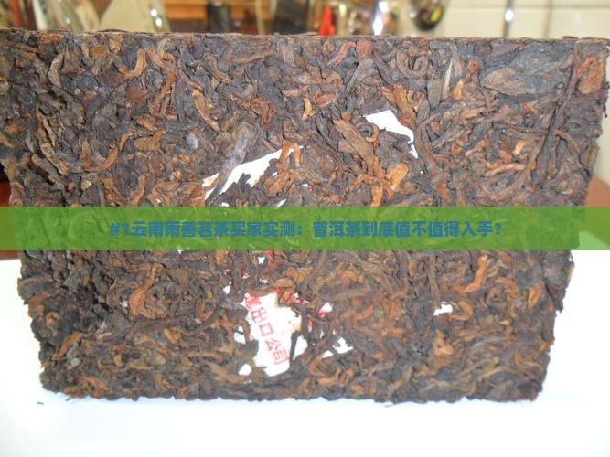 #1云南雨善茗茶买家实测：普洱茶到底值不值得入手？