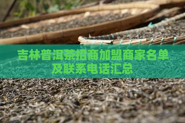 吉林普洱茶招商加盟商家名单及联系电话汇总