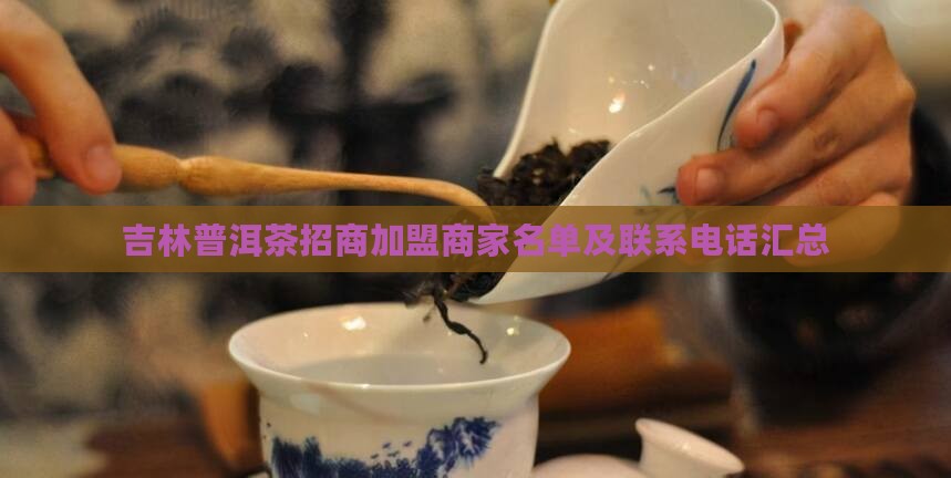吉林普洱茶招商加盟商家名单及联系电话汇总
