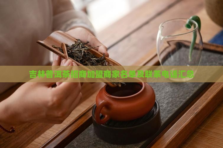 吉林普洱茶招商加盟商家名单及联系电话汇总