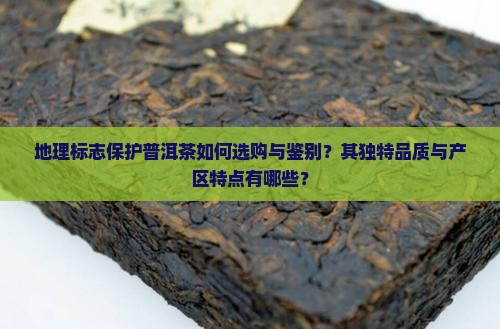 地理标志保护普洱茶如何选购与鉴别？其独特品质与产区特点有哪些？