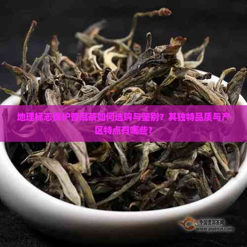 地理标志保护普洱茶如何选购与鉴别？其独特品质与产区特点有哪些？