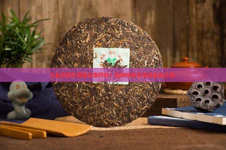 大金牙茶叶源自云南何处？地域特色与市场追捧之谜！
