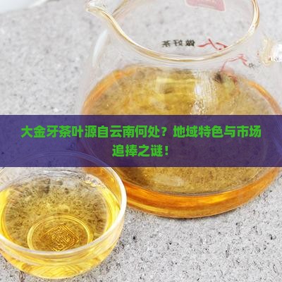 大金牙茶叶源自云南何处？地域特色与市场追捧之谜！