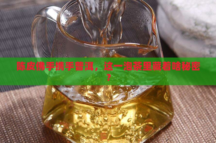 陈皮佛手携手普洱，这一泡茶里藏着啥秘密？