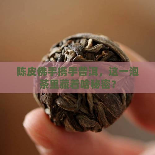陈皮佛手携手普洱，这一泡茶里藏着啥秘密？