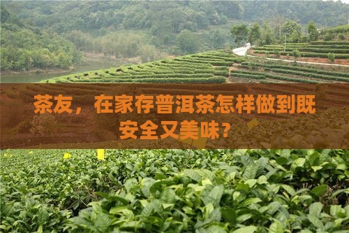 茶友，在家存普洱茶怎样做到既安全又美味？