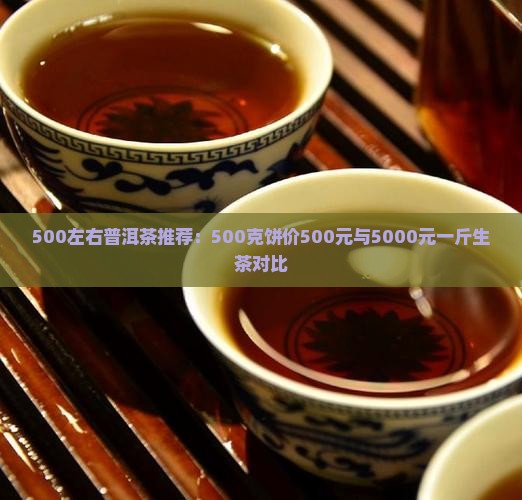 500左右普洱茶推荐：500克饼价500元与5000元一斤生茶对比