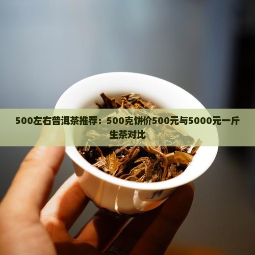 500左右普洱茶推荐：500克饼价500元与5000元一斤生茶对比