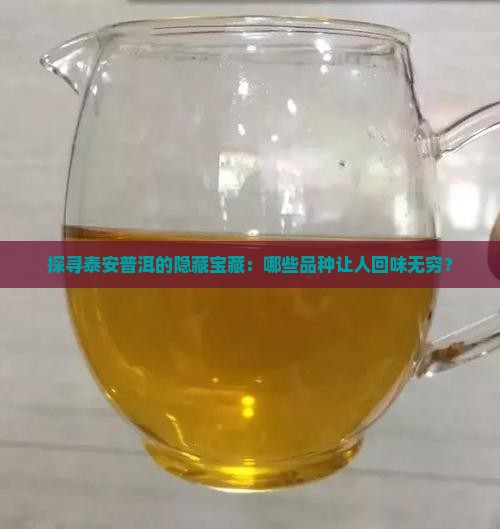 探寻泰安普洱的隐藏宝藏：哪些品种让人回味无穷？