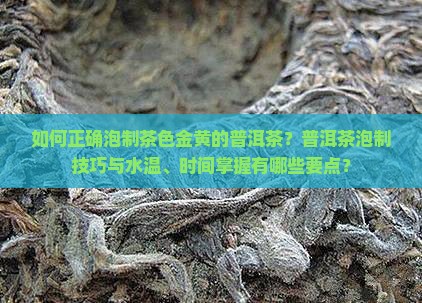 如何正确泡制茶色金黄的普洱茶？普洱茶泡制技巧与水温、时间掌握有哪些要点？