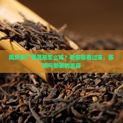 凤庆茶厂普洱茶怎么样？老茶客看过来，陈茶与新茶的差异