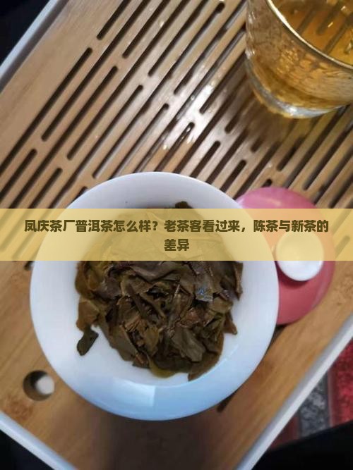 凤庆茶厂普洱茶怎么样？老茶客看过来，陈茶与新茶的差异