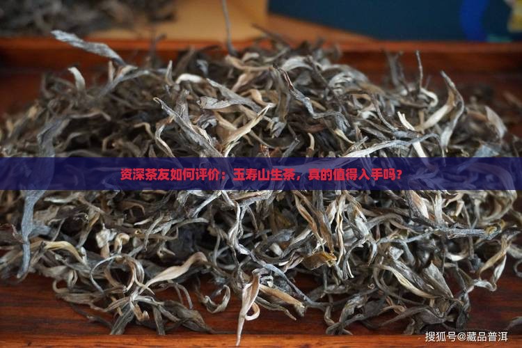 资深茶友如何评价：玉寿山生茶，真的值得入手吗？
