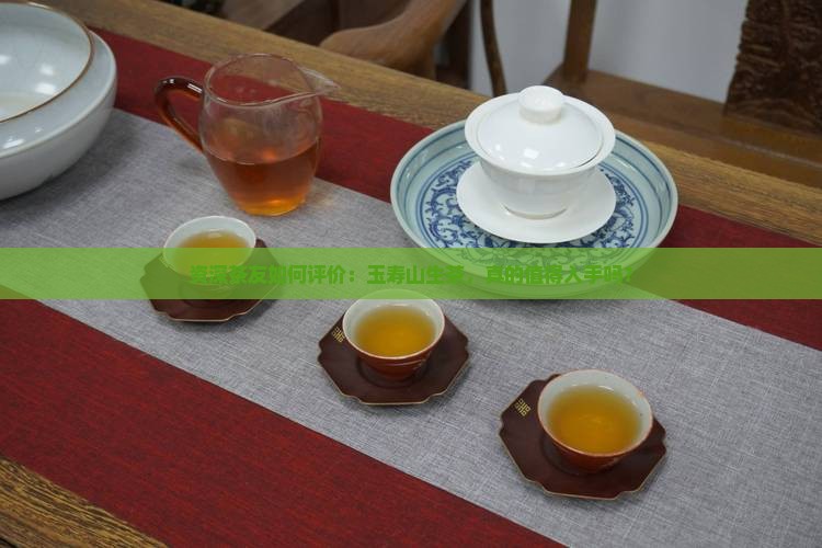 资深茶友如何评价：玉寿山生茶，真的值得入手吗？