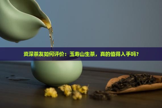 资深茶友如何评价：玉寿山生茶，真的值得入手吗？