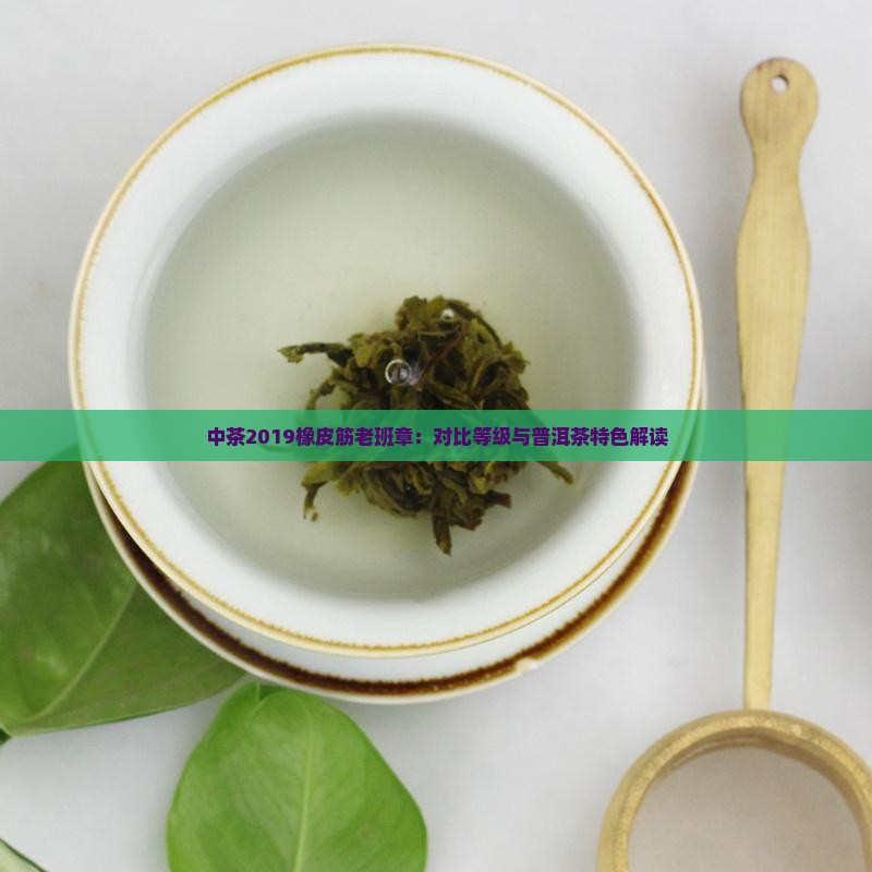 中茶2019橡皮筋老班章：对比等级与普洱茶特色解读
