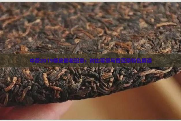 中茶2019橡皮筋老班章：对比等级与普洱茶特色解读