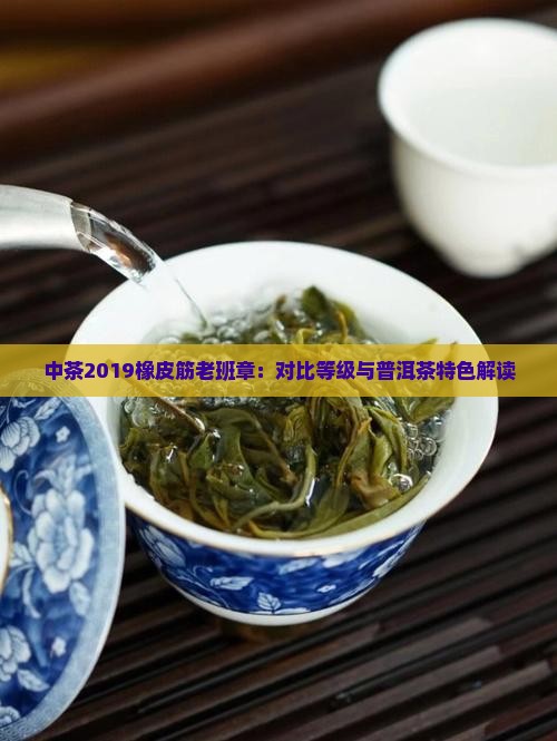 中茶2019橡皮筋老班章：对比等级与普洱茶特色解读