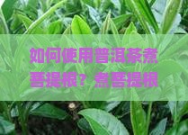 如何使用普洱茶煮菩提根？煮菩提根的普洱茶选择有何讲究？煮制步骤详解及注意事项