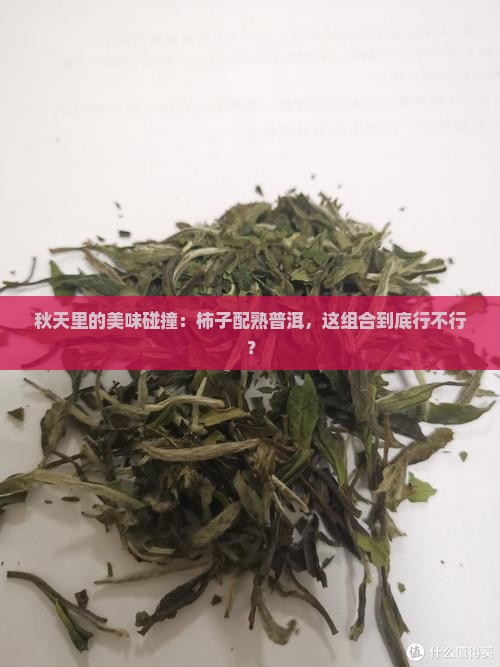 秋天里的美味碰撞：柿子配熟普洱，这组合到底行不行？