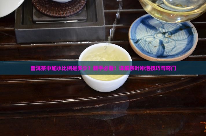 普洱茶中加水比例是多少？新手必看！详解茶叶冲泡技巧与窍门