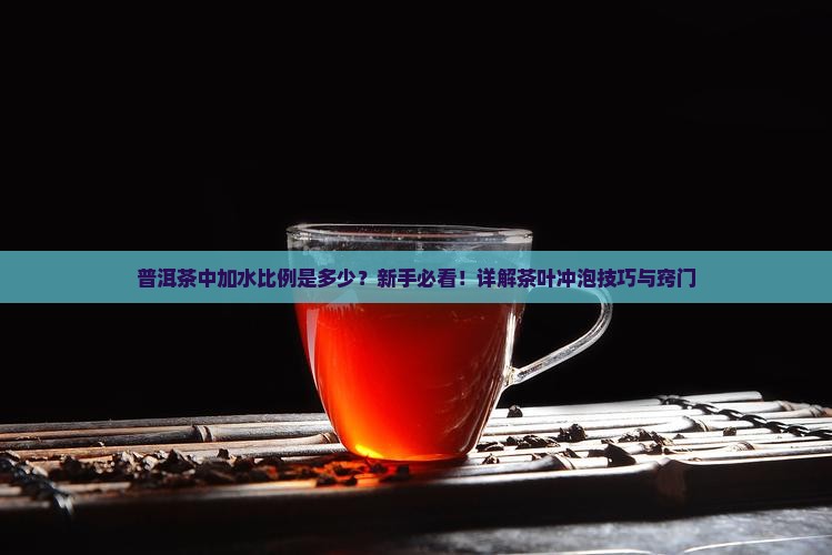 普洱茶中加水比例是多少？新手必看！详解茶叶冲泡技巧与窍门