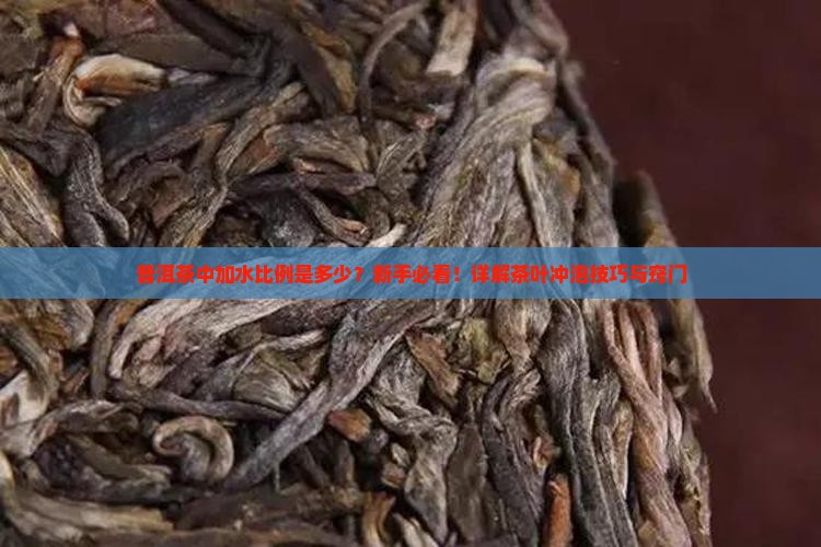 普洱茶中加水比例是多少？新手必看！详解茶叶冲泡技巧与窍门