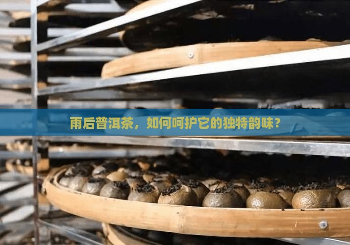 雨后普洱茶，如何呵护它的独特韵味？