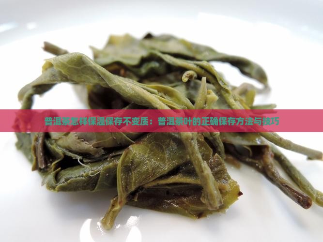 普洱茶怎样保温保存不变质：普洱茶叶的正确保存方法与技巧