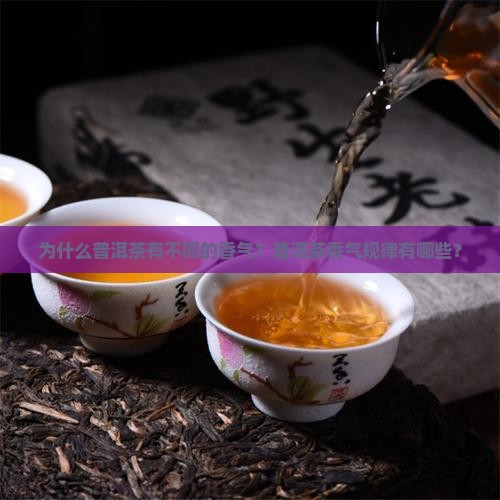 为什么普洱茶有不同的香气？普洱茶香气规律有哪些？