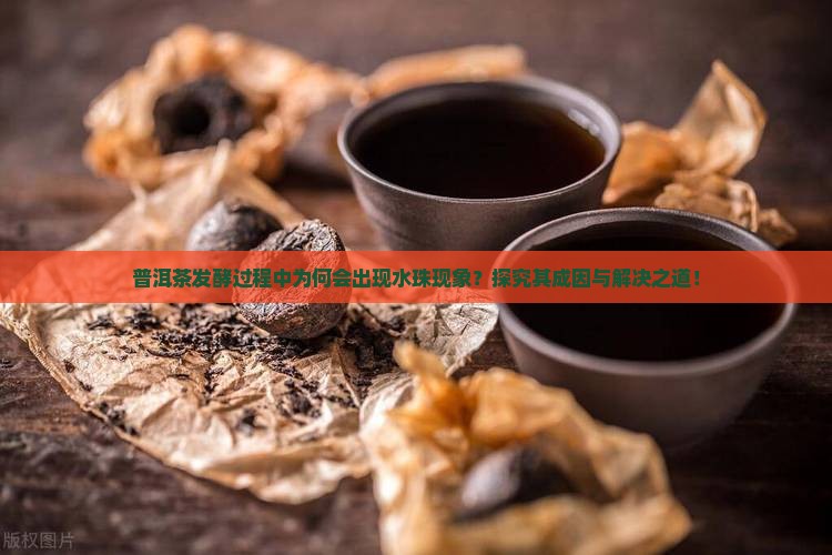 普洱茶发酵过程中为何会出现水珠现象？探究其成因与解决之道！