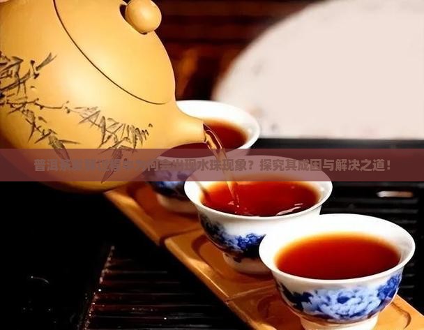 普洱茶发酵过程中为何会出现水珠现象？探究其成因与解决之道！