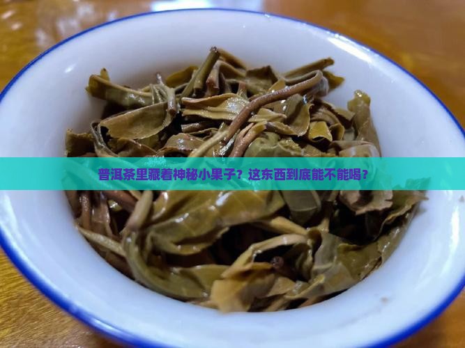 普洱茶里藏着神秘小果子？这东西到底能不能喝？