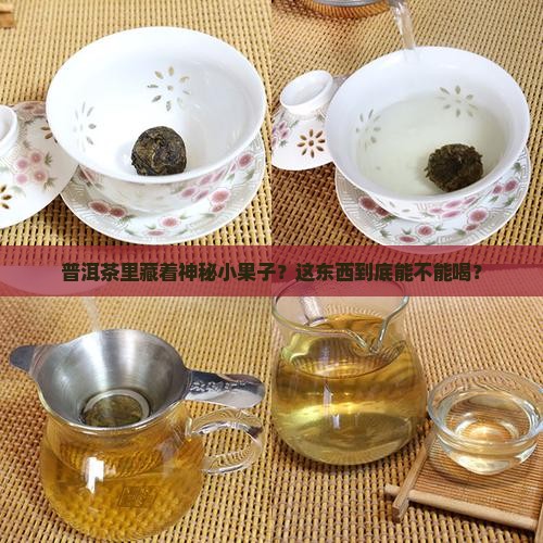 普洱茶里藏着神秘小果子？这东西到底能不能喝？