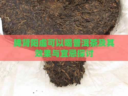 脾肾阳虚可以喝普洱茶及其效果与宜忌探讨