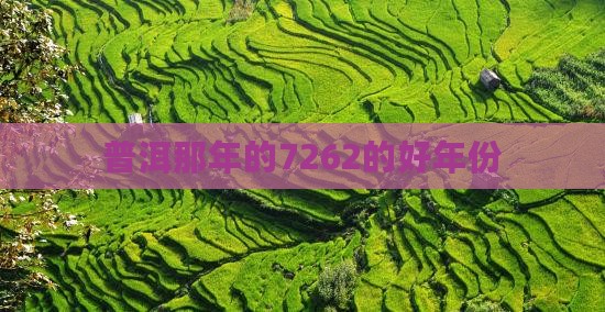 普洱那年的7262的好年份