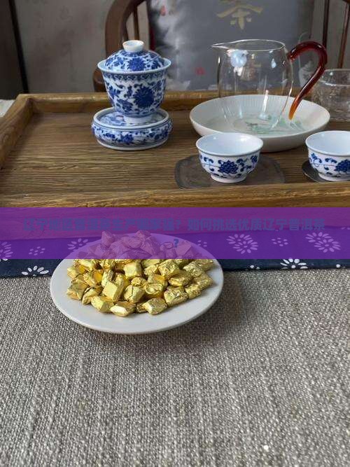 辽宁地区普洱茶生产哪家强？如何挑选优质辽宁普洱茶？