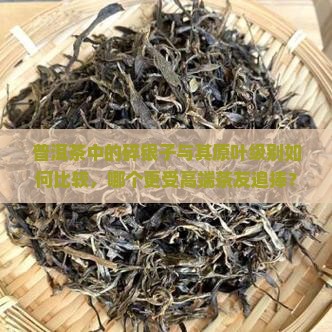 普洱茶中的碎银子与其原叶级别如何比较，哪个更受高端茶友追捧？