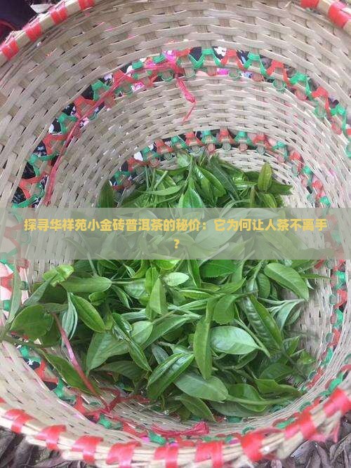 探寻华祥苑小金砖普洱茶的秘价：它为何让人茶不离手？