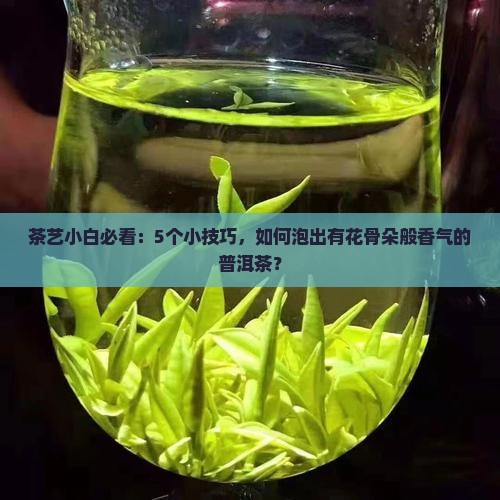 茶艺小白必看：5个小技巧，如何泡出有花骨朵般香气的普洱茶？