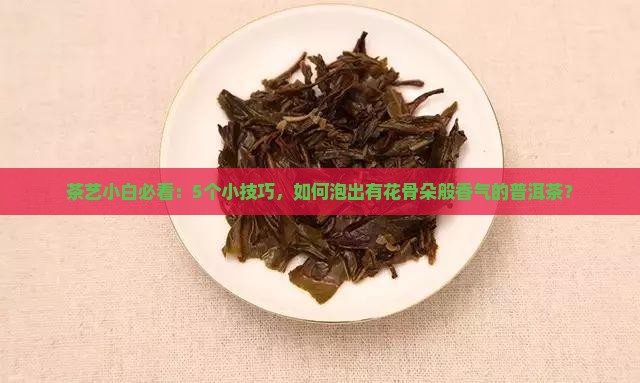 茶艺小白必看：5个小技巧，如何泡出有花骨朵般香气的普洱茶？