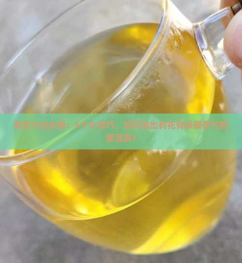 茶艺小白必看：5个小技巧，如何泡出有花骨朵般香气的普洱茶？