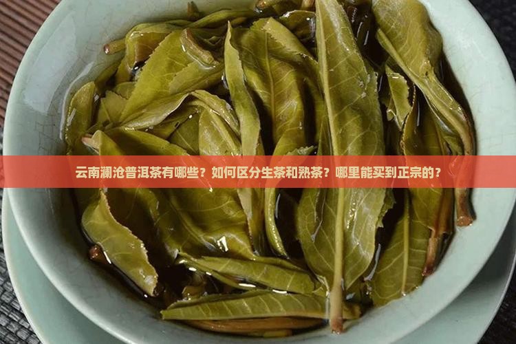 云南澜沧普洱茶有哪些？如何区分生茶和熟茶？哪里能买到正宗的？