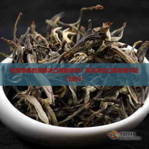 普洱茶真的能解决口臭困扰吗？探究其去口臭效果与热门成分！