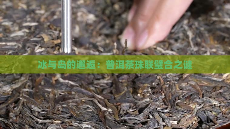 冰与岛的邂逅：普洱茶珠联璧合之谜