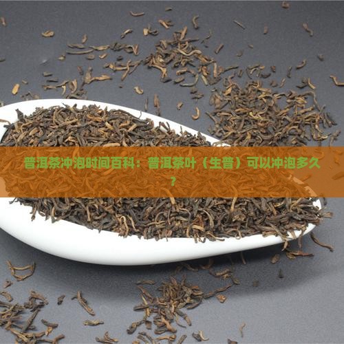 普洱茶冲泡时间百科：普洱茶叶（生普）可以冲泡多久？