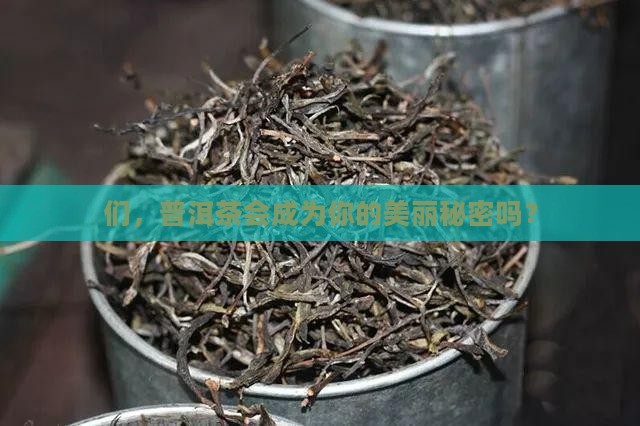 们，普洱茶会成为你的美丽秘密吗？