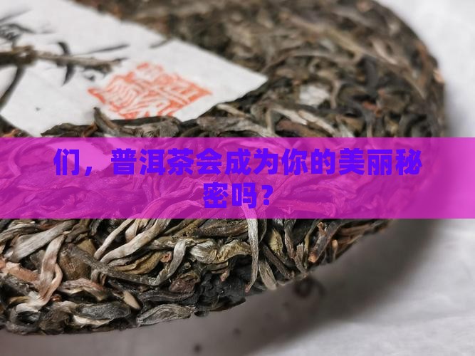 们，普洱茶会成为你的美丽秘密吗？