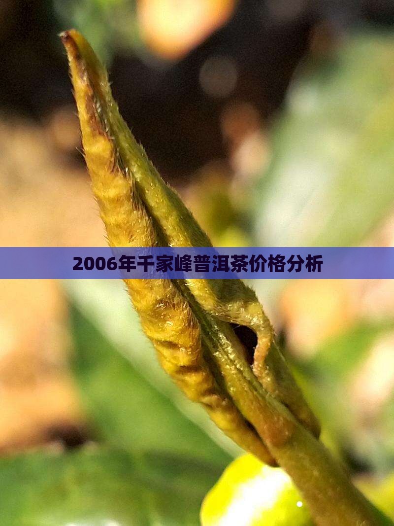 2006年千家峰普洱茶价格分析